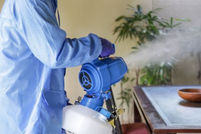 Fumigation Service in West Palm Beach, FL
