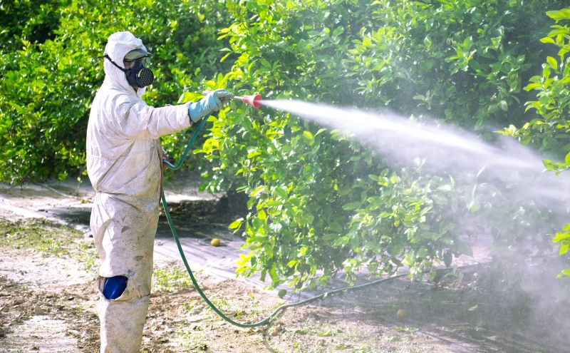 Pest Fumigation Service in Santa Fe, NM