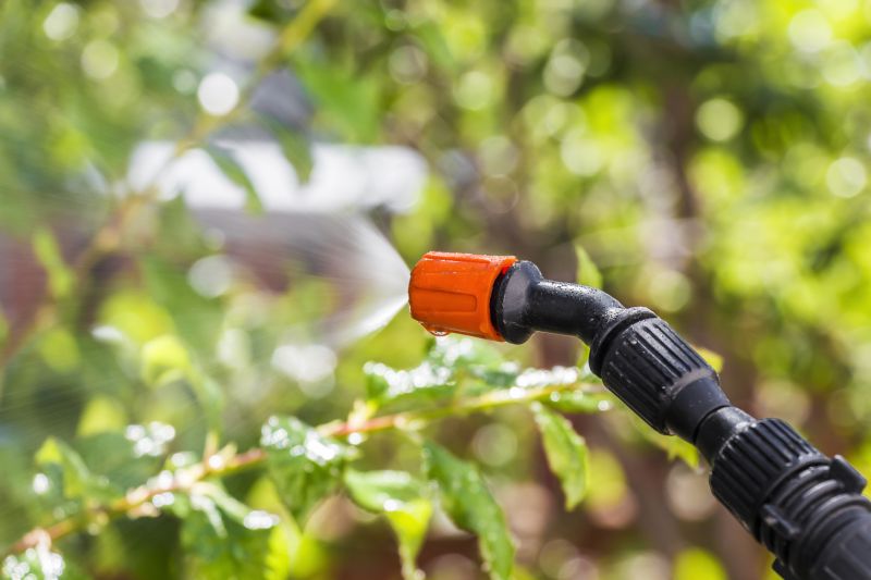 Insect Control Service in Arlington, TX