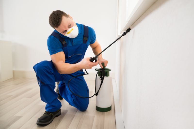 Pest Extermination Service in Katy, TX