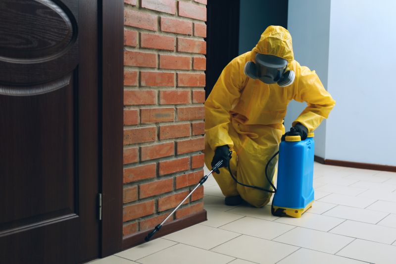 Pest Treatment Service in Frisco, TX