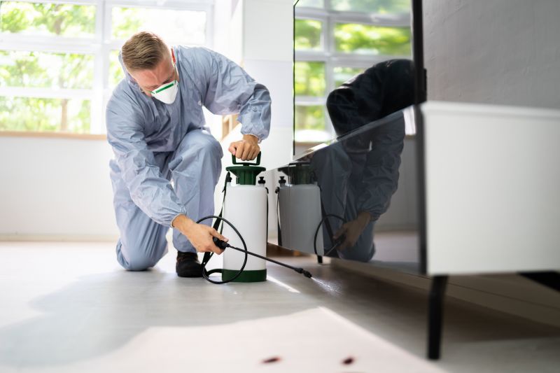 Spider Mite Extermination in Katy, TX