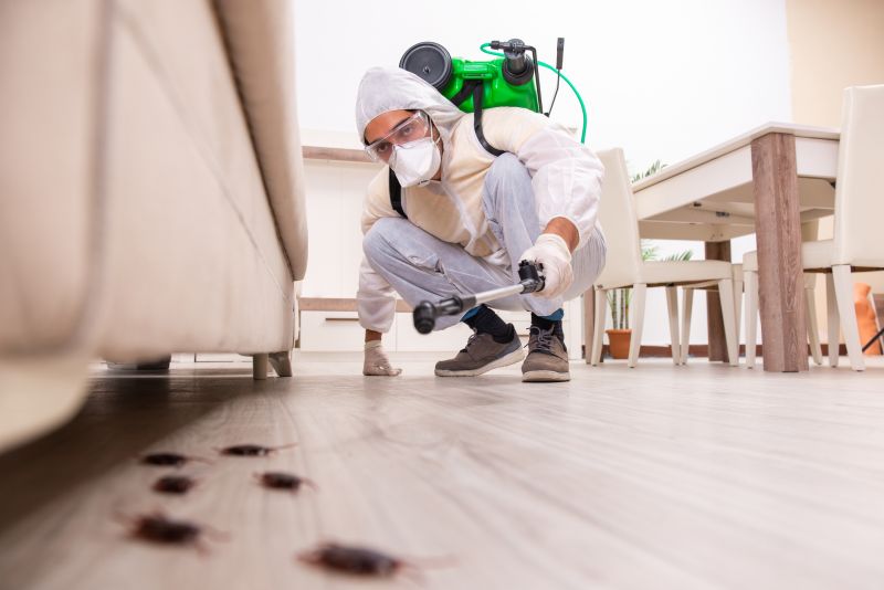 Spider Mite Extermination in Frisco, TX