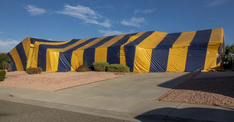 Tent Fumigation in Davis County, UT