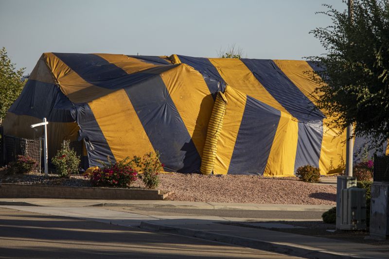 Termite Tenting in Madison, WI